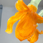 Luxury Handblown Iris Flower Glass Chandelier
